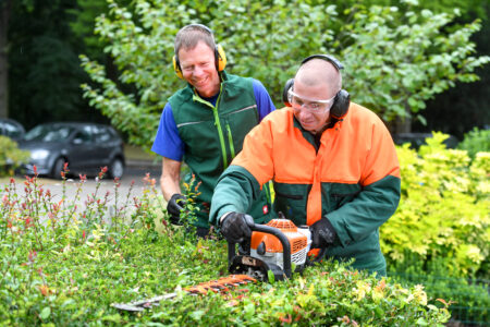 Zwei Gärtner schneiden Hecke mit elektrischer Heckenschere.
