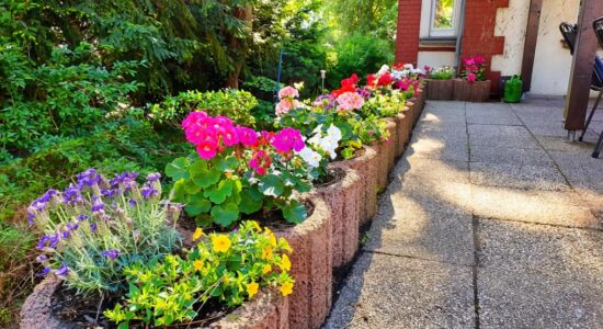 Entlang einer gepflasterten Terrasse am rot-weißen Haus stehen in einer Reihe runde Pflanzsteine mit lila, pinken, weißen und gelben Blumen; rechts an der Wand sind ein Fenster und eine grüne Gießkanne zu sehen, im Hintergrund dichter Grünbewuchs.