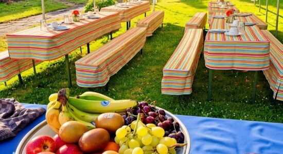 Im Freien unter einem weißen Pavillon stehen mehrere mit bunt gestreiften Decken bedeckte Bierzeltgarnituren mit Gedecken, im Vordergrund auf einem blauen Tisch eine große Obstschale mit Äpfeln, Trauben, Bananen, Kiwis, Kirschen und Mandarinen sowie eine violette Karaffe.